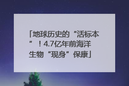 地球历史的“活标本”！4.7亿年前海洋生物“现身”保康